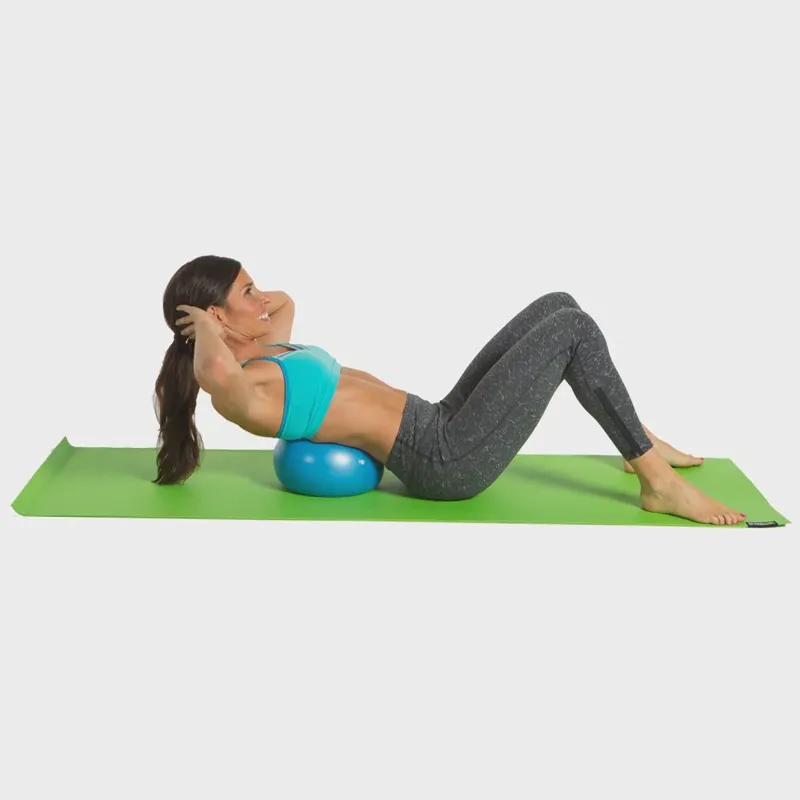 GoFit 20cm Core Ab Ball with Training DVD and Inflation Tube - Blue